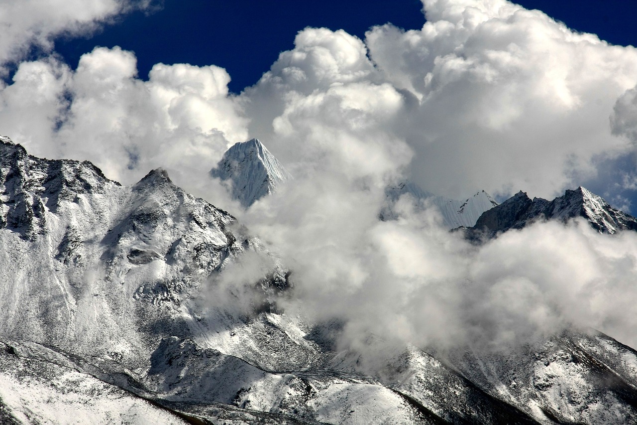 The Characteristics of the Himalayan